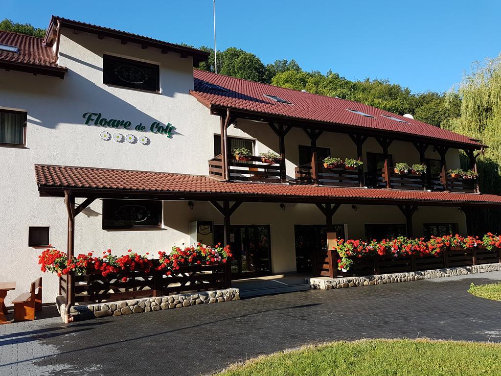 Pensiunea Floare De Colt Poiana Galdei Exterior foto